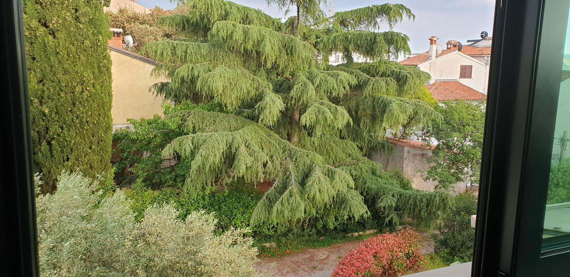Apartments Adri, Parking In The Yard Rovinj Exterior photo
